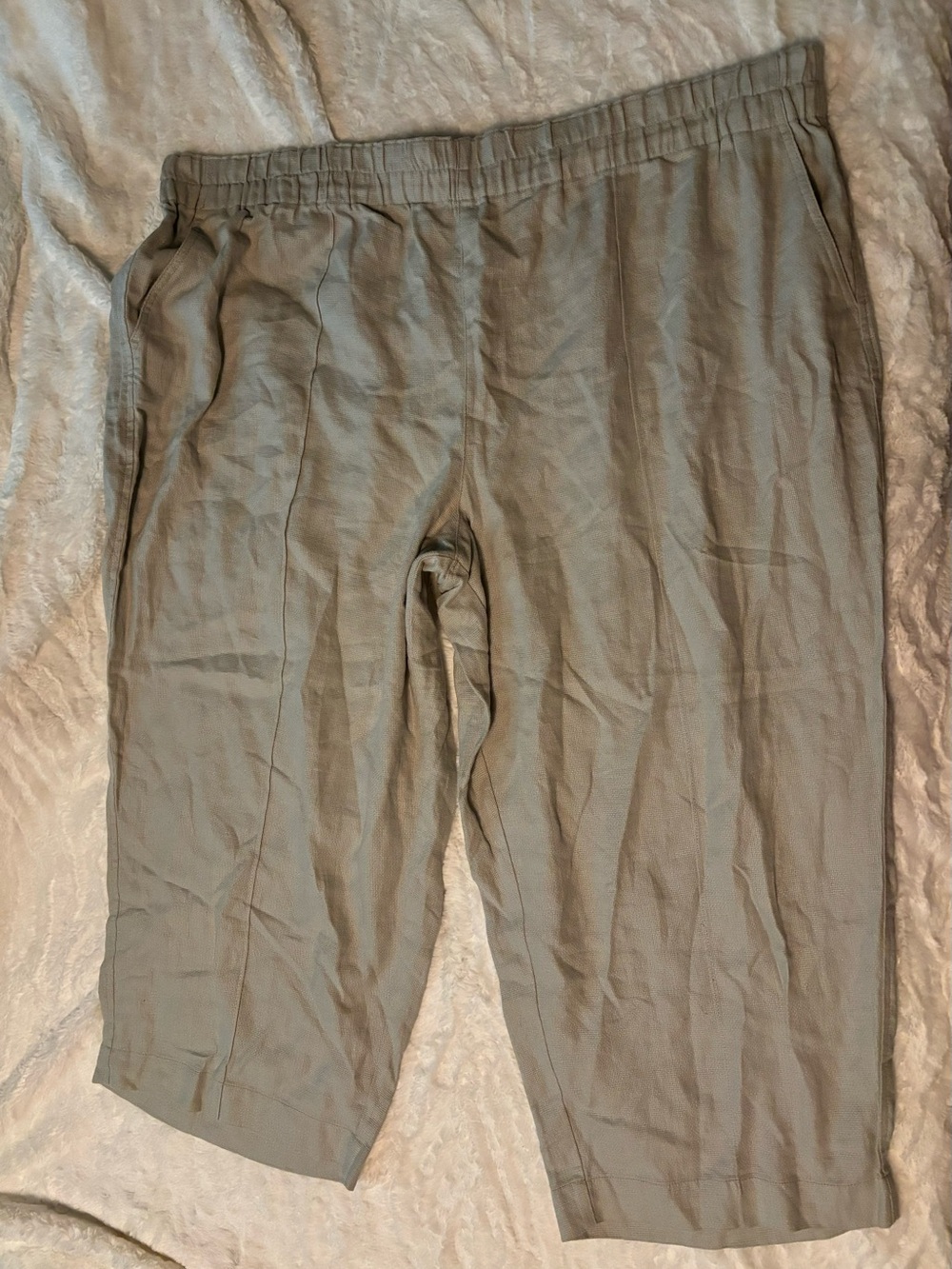 Madewell Linen Blend Cropped Pants Size 4X Sage Green